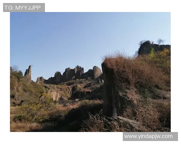 杭州攀岩队区域防守新策略探索与实践分析