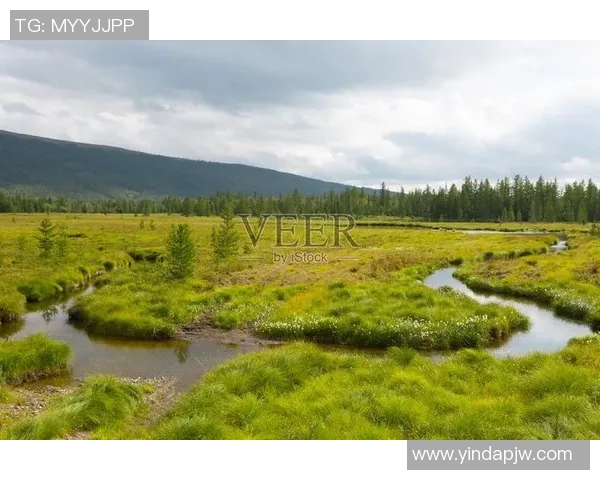 亚马尔地区的能源战略与全球气候变化的互动分析